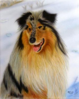 PR 7 - 61 cm x 91,5 cm